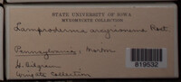 Image Associated With the Occurence